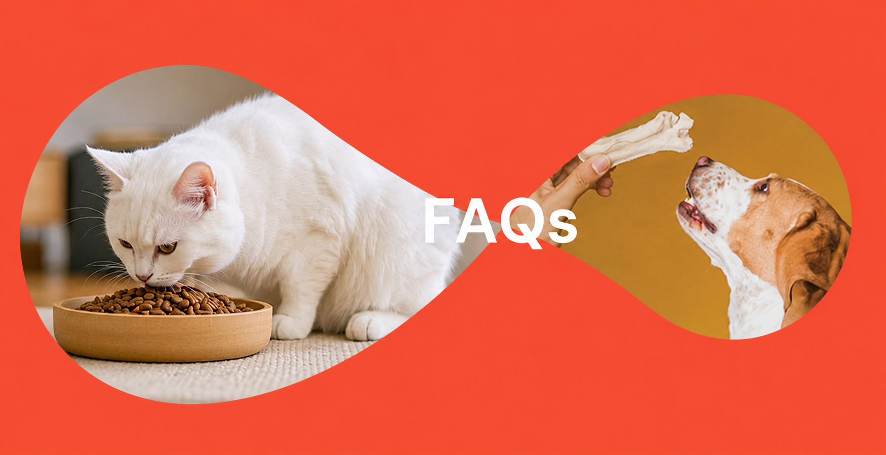 Häufig gestellte Fragen zu Tiernahrung