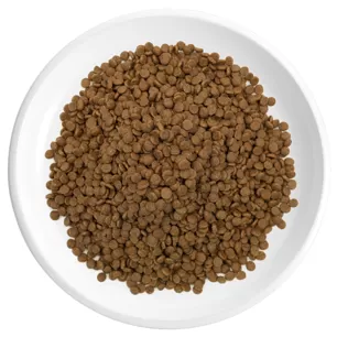 Katzentrockenfutter mit Hähnchen & Pute