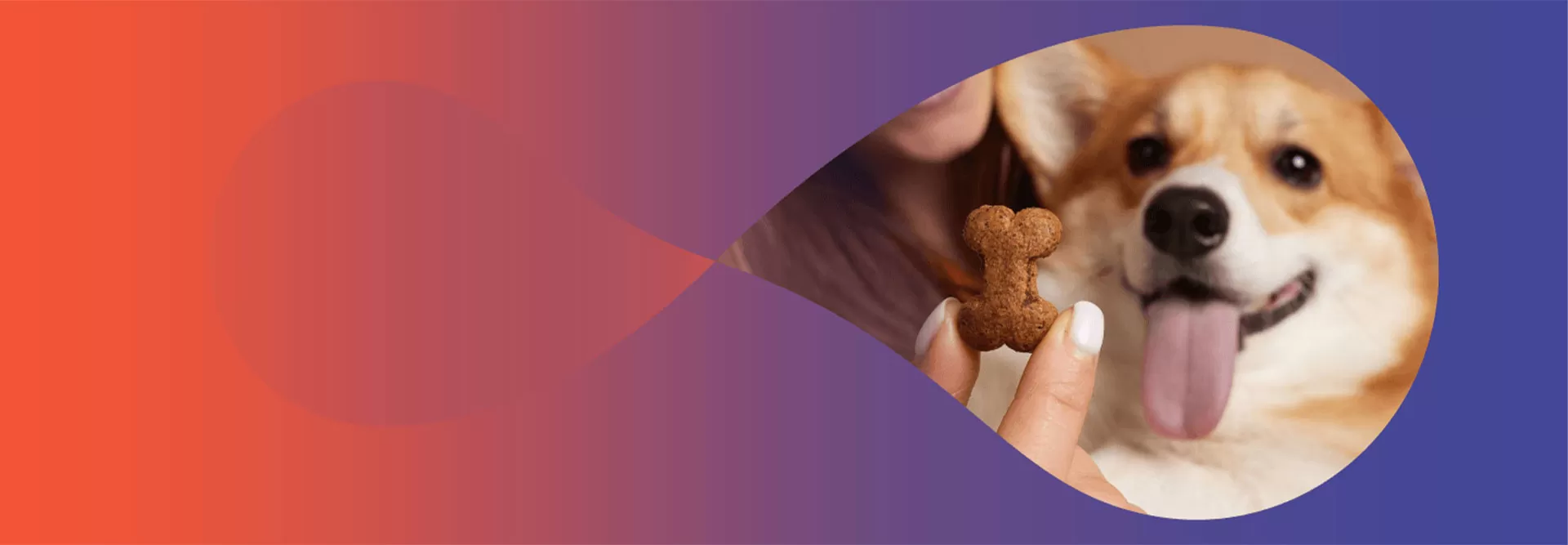 Individuelle Hundeleckerlis/Snacks mit außergewöhnlichem Geschmack